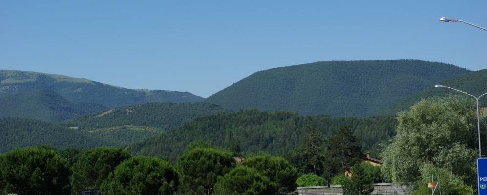 
            Фотография Пьерантонио