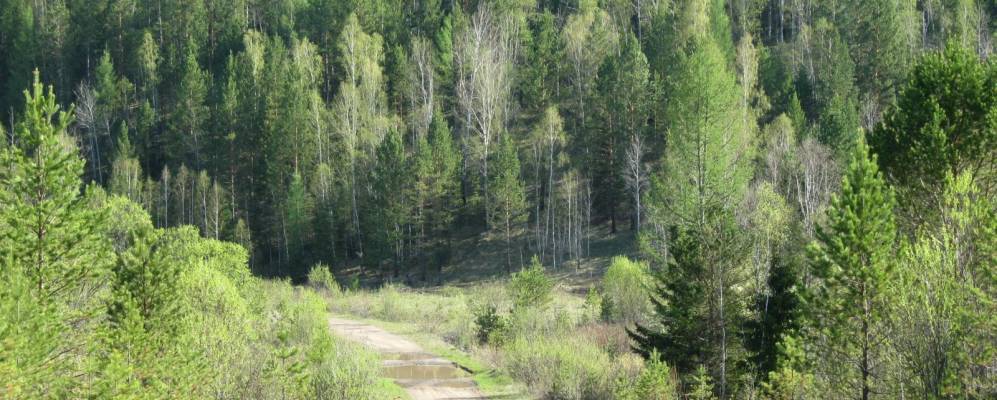 
            Фотография Спирино