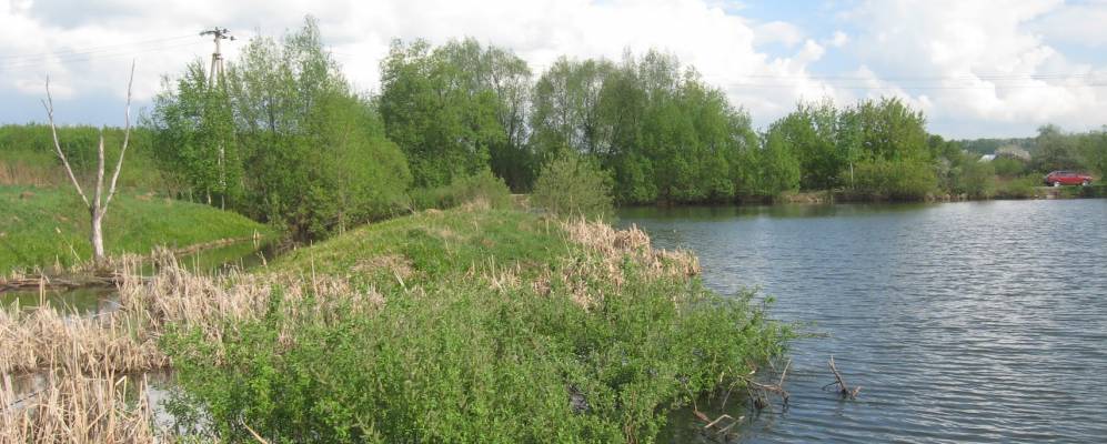 
            Фотография Нижней Елькино