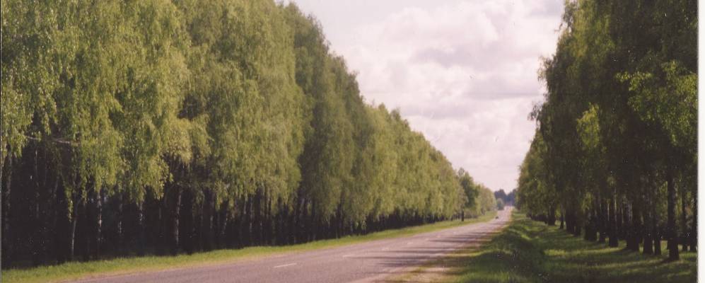 
            Фотография Завишино