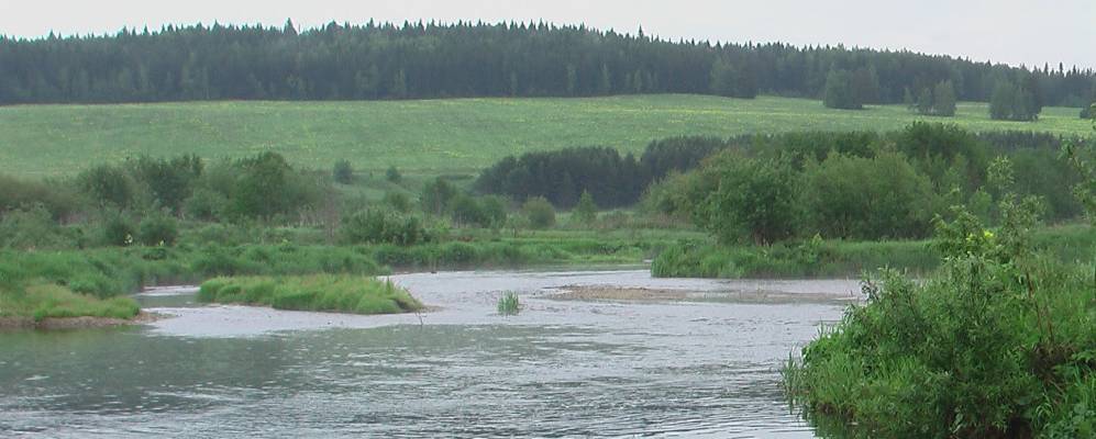 
            Фотография Бора