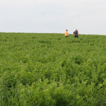 Верхний Киев