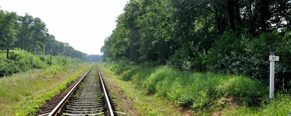 Фотография Горского
