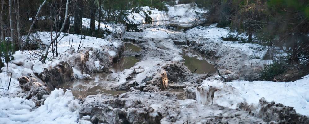 
            Фотография Новоселово