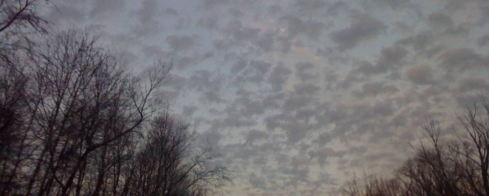 
            Фотография Дойлестауна