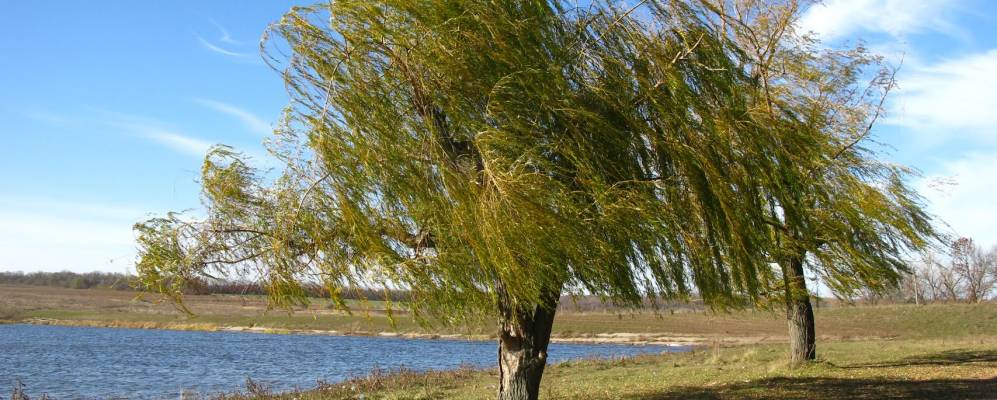 Фотография Новоалександровки
