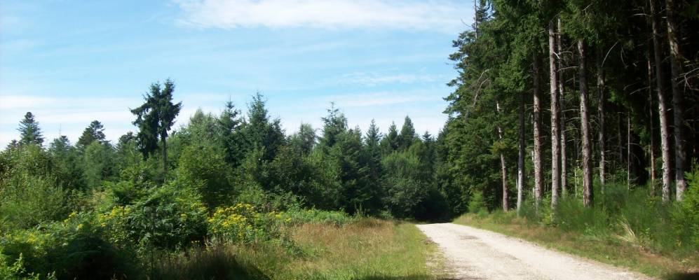 
            Фотография Кюнла