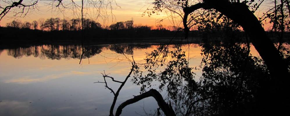 
            Фотография Бекетта