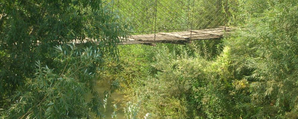 
            Фотография Тоскаево