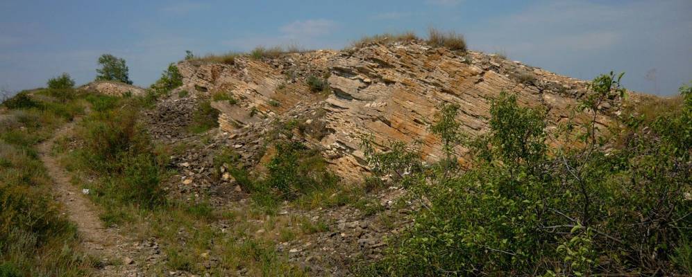 
            Фотография Известкового