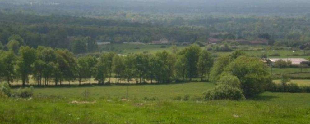 Фотография Амион