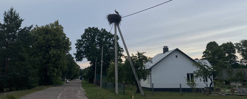 Фотография Изабелина