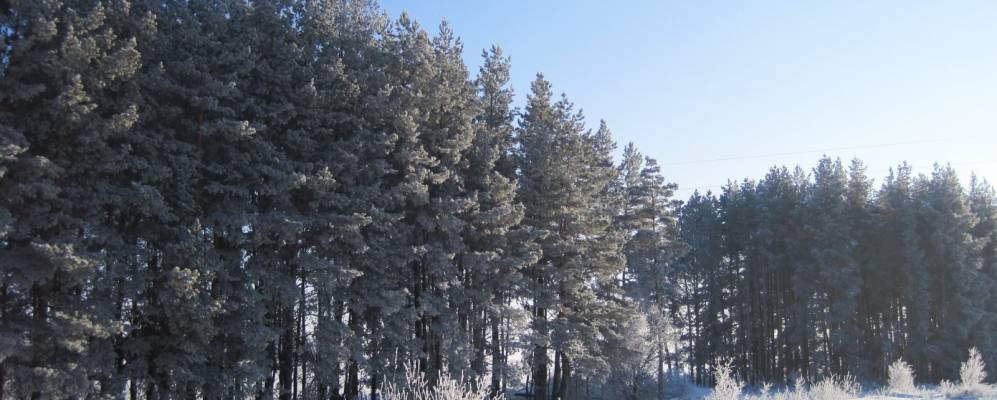 
            Фотография Луговых Выселок