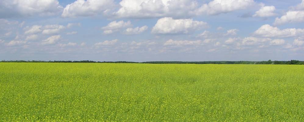 
            Фотография Ясенево