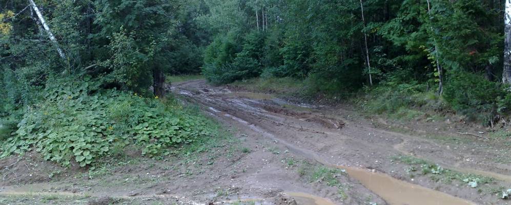 
            Фотография Журавлика