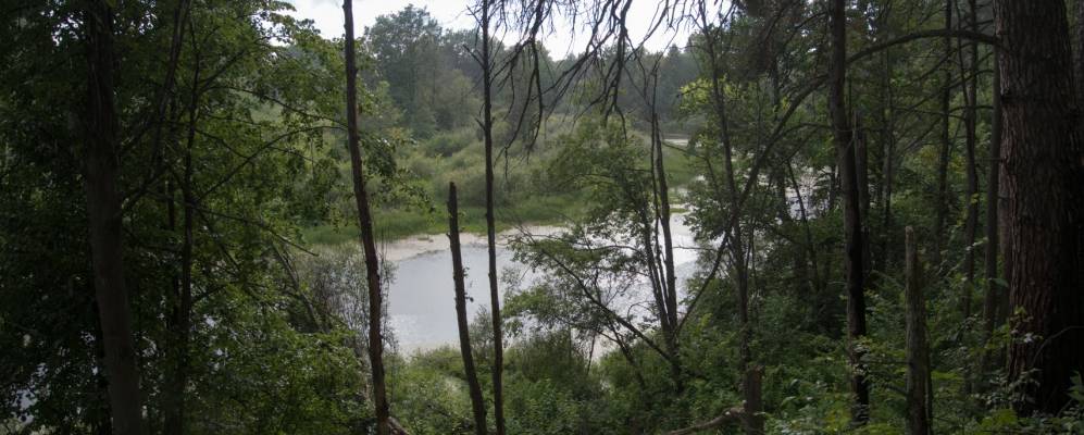 
            Фотография Яшкино