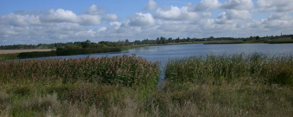 
            Фотография Надежды