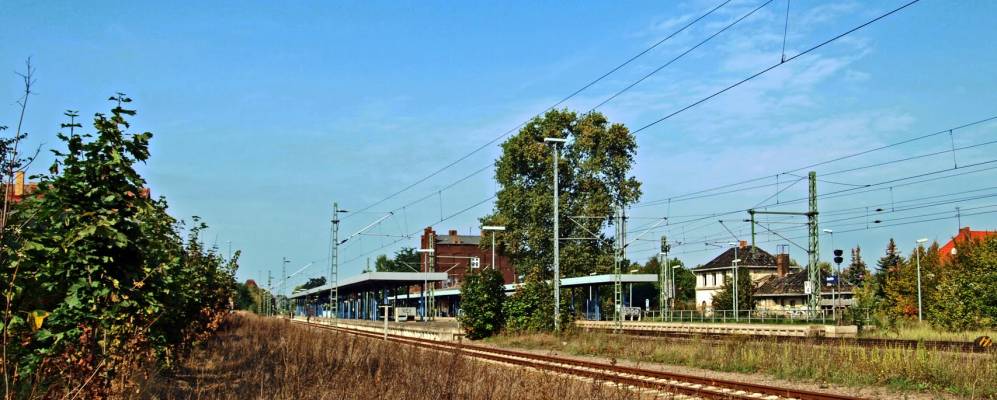 Фотография Гентина