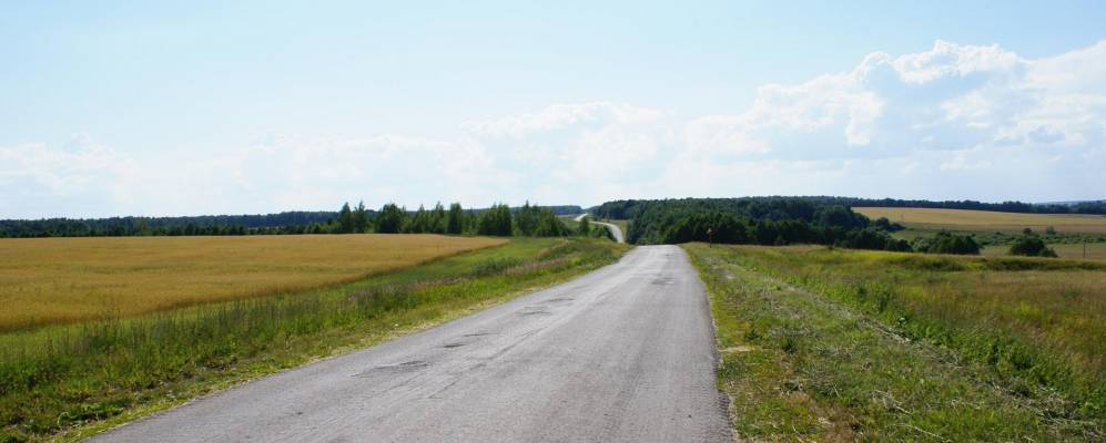 
            Фотография Брусни