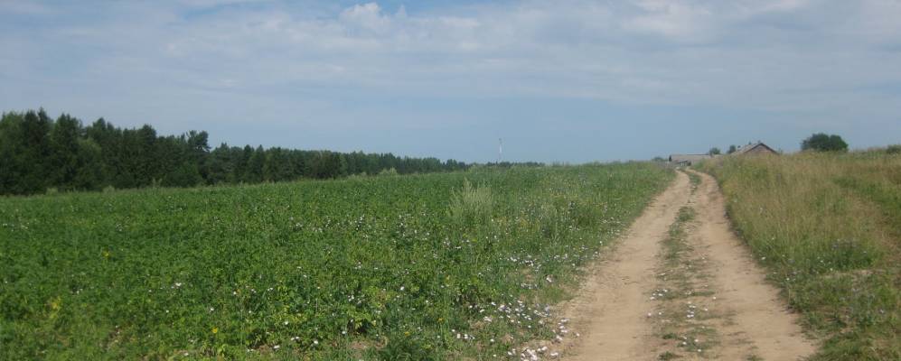 
            Фотография Лысенино