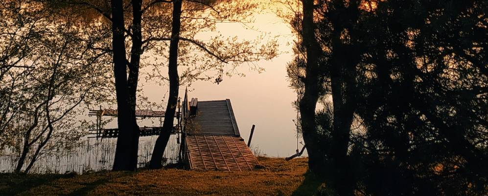 
            Фотография Симоньки