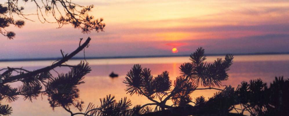 
            Фотография Спичино