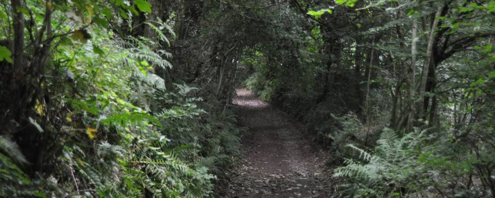 
            Фотография Далвертона