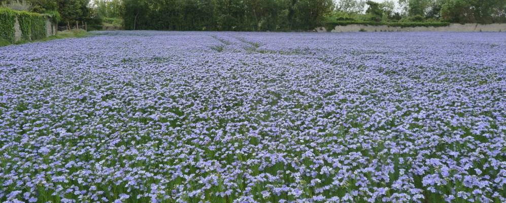 Фотография Валан