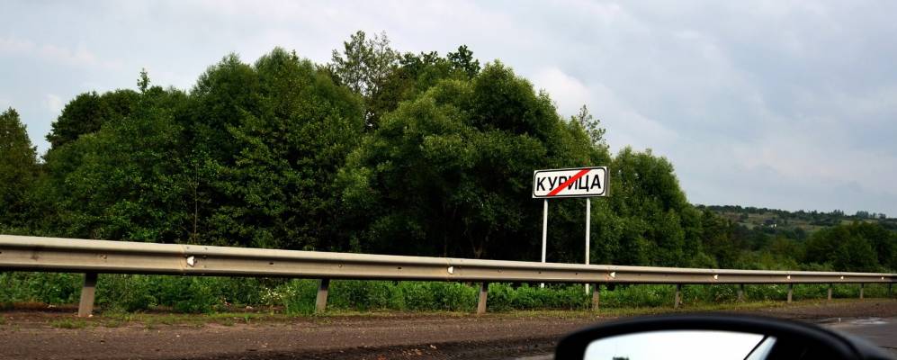 
            Фотография Курицы