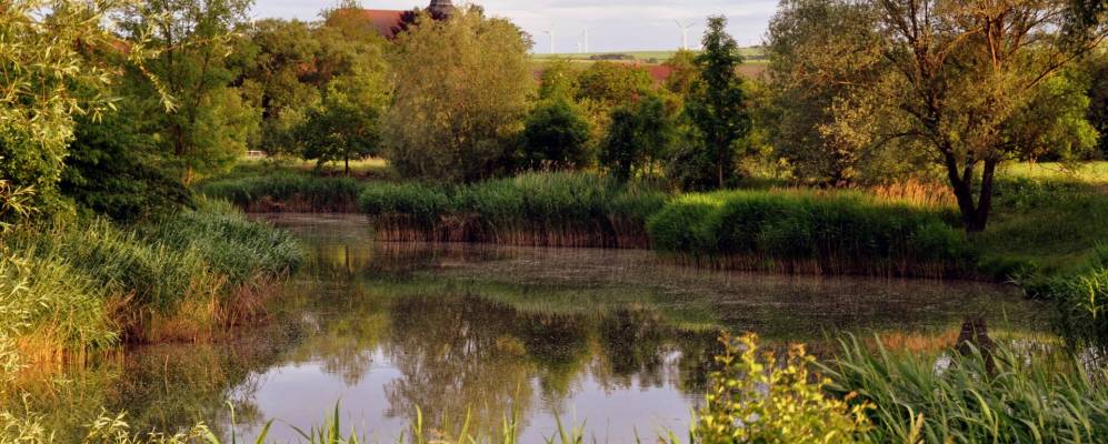 
            Фотография Милы