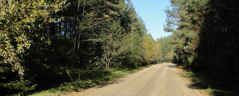 
            Фотография Смуги