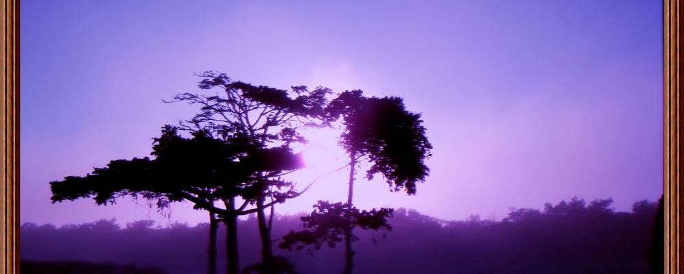 
            Фотография Игуапи