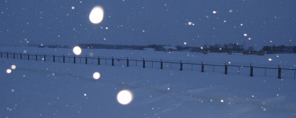 Фотография Янашкасов