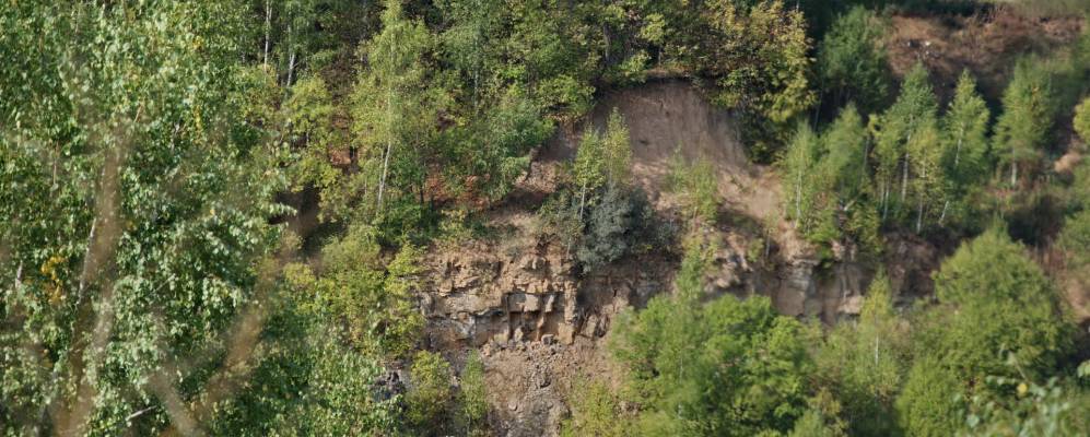 
            Фотография Скорнево