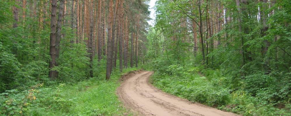 
            Фотография Киргизок