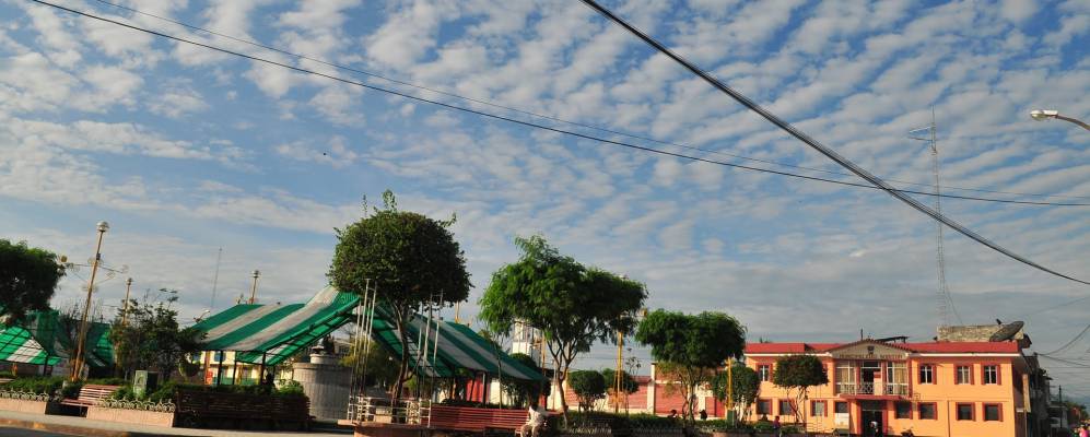 
            Фотография Соритора