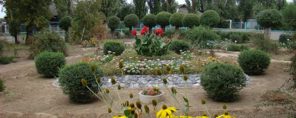 
            Фотография Лугового