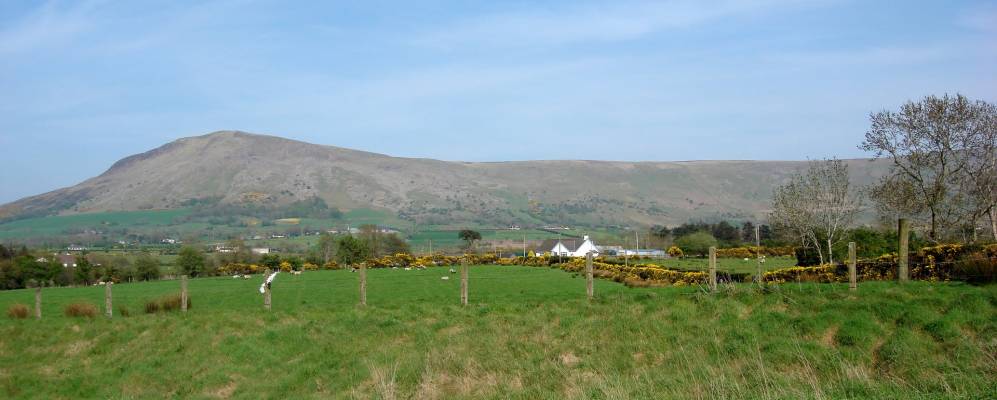 
            Фотография Дандживена