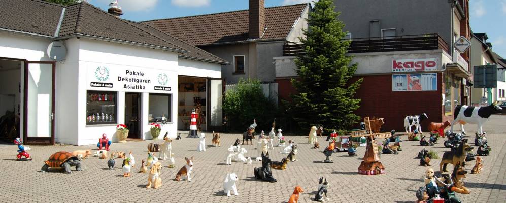 
            Фотография Вайербуша