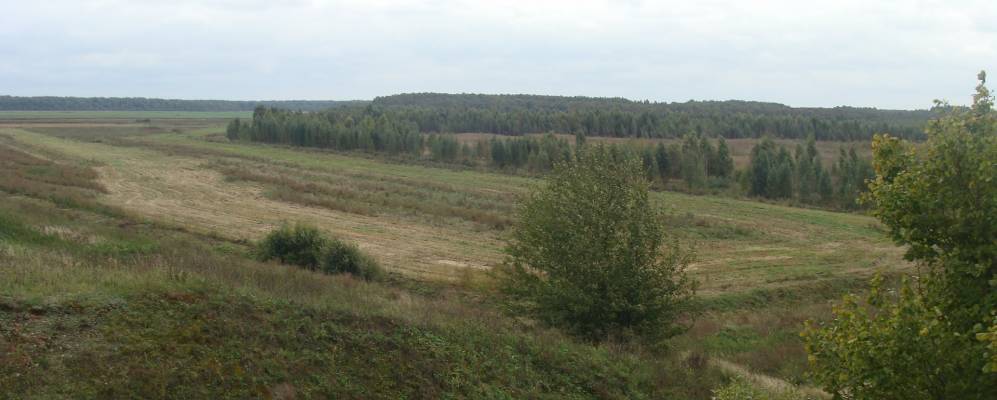 
            Фотография агрогородка Новгороды