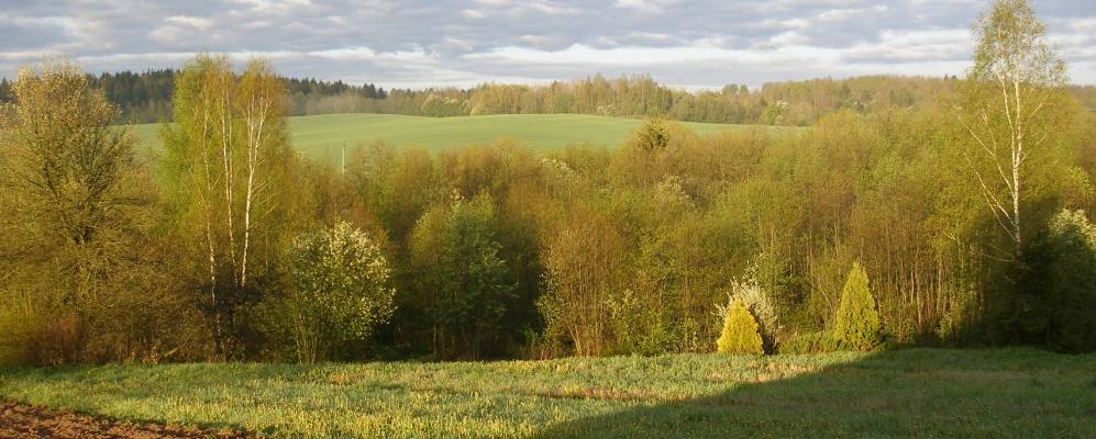 Фотография Ломшино