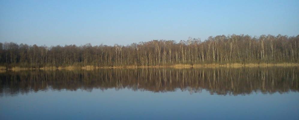 
            Фотография Боблы