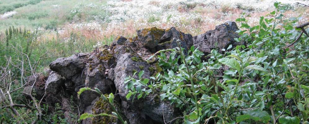 
            Фотография Чапаево