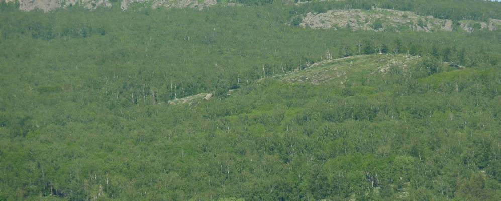 
            Фотография Хусаиново