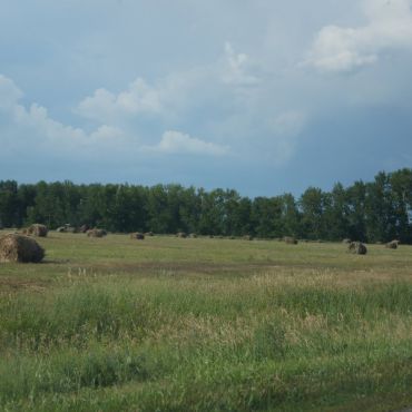 Поперечное