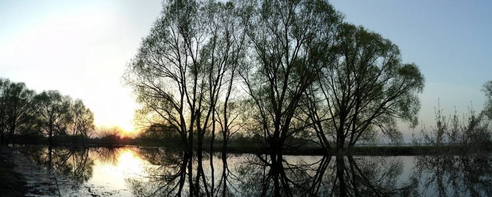 
            Фотография Лужков