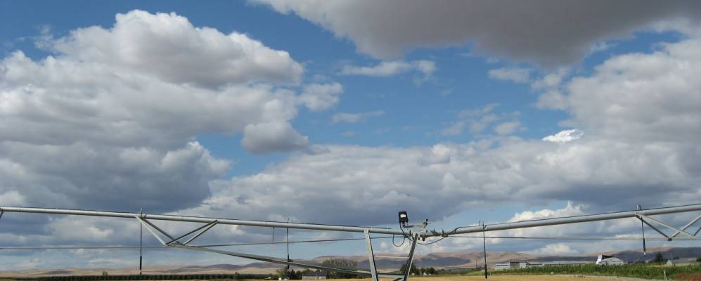 
            Фотография Зиллы