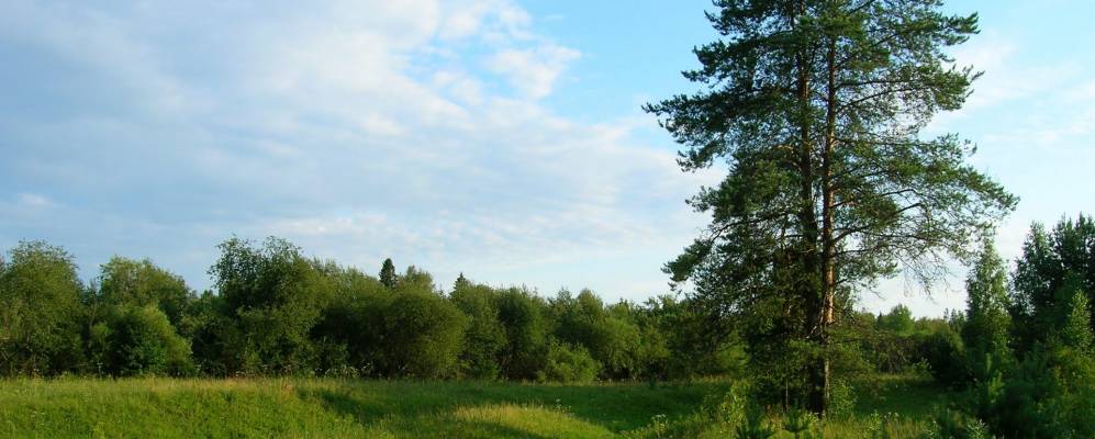 Фотография Нижнего Лядово