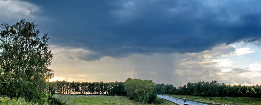 
            Фотография Кошино