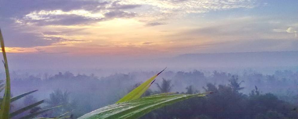 
            Фотография Бамбанглипуро